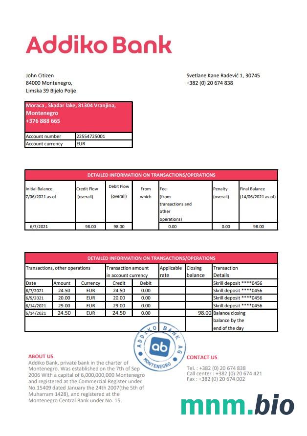 Mongolia Transbank oświadczenie szablon w Word i PDF